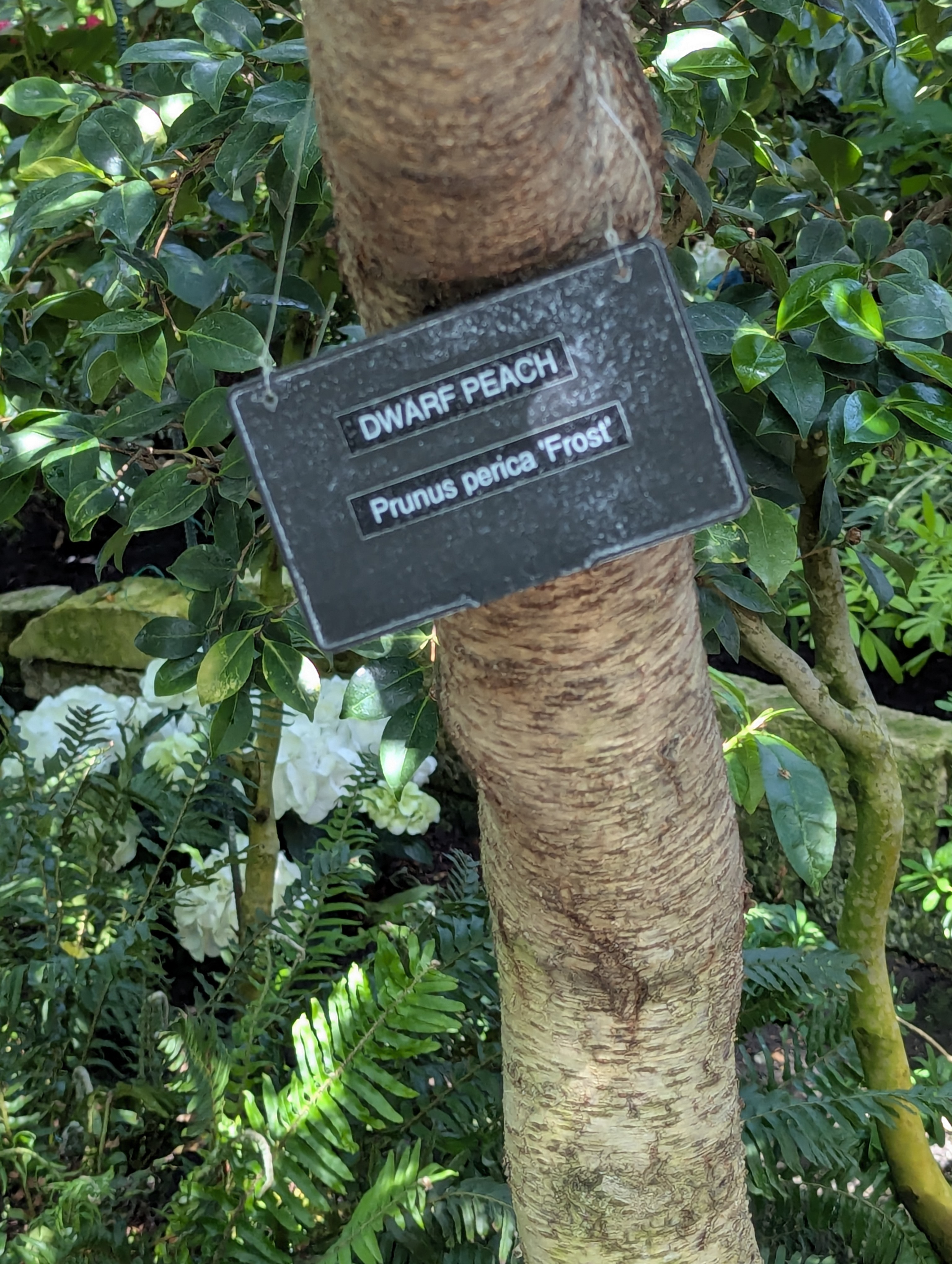 Birthday Trip to Canada, Edmonton, Pyramids, Muttart Observatory